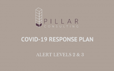 Pillar Consulting Operations During Alert Levels 2 & 3